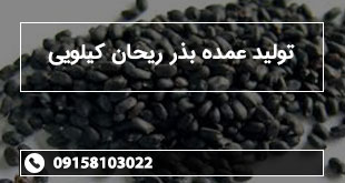 تولید عمده بذر ریحان کیلویی