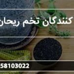 تولید کنندگان تخم ریحان سبز