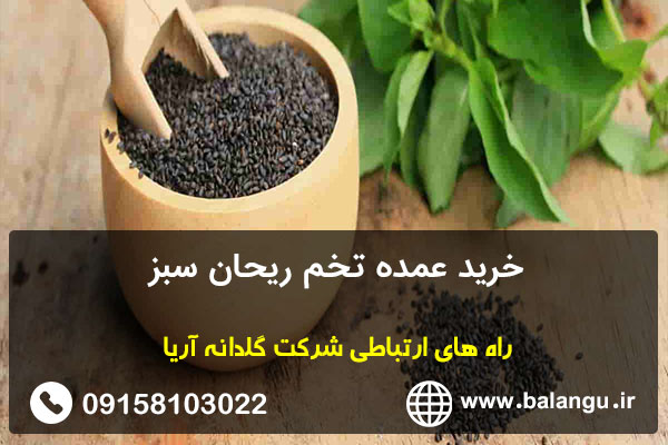 خرید عمده تخم ریحان سبز