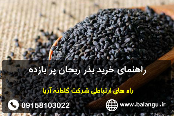 راهنمای خرید بذر ریحان پر بازده