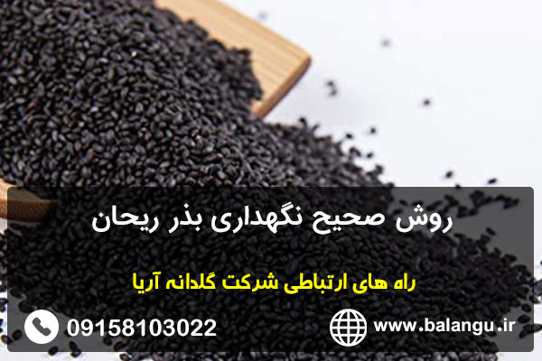 روش صحیح نگهداری بذر ریحان