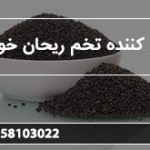 صادر کننده تخم ریحان خوراکی