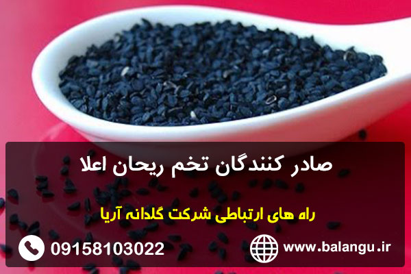 صادر کنندگان تخم ریحان اعلا