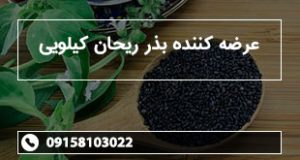 عرضه کننده بذر ریحان کیلویی