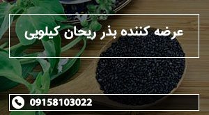 عرضه کننده بذر ریحان کیلویی