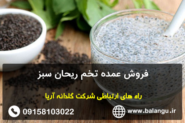 فروش عمده تخم ریحان سبز