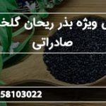فروش ویژه بذر ریحان گلخانه ای صادراتی