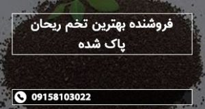 فروشنده بهترین تخم ریحان پاک شده