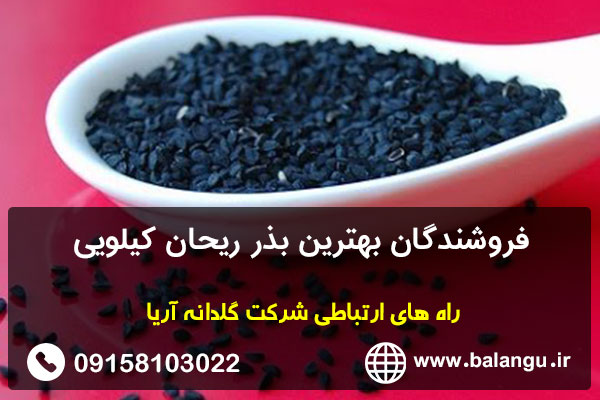 فروشندگان بهترین بذر ریحان کیلویی