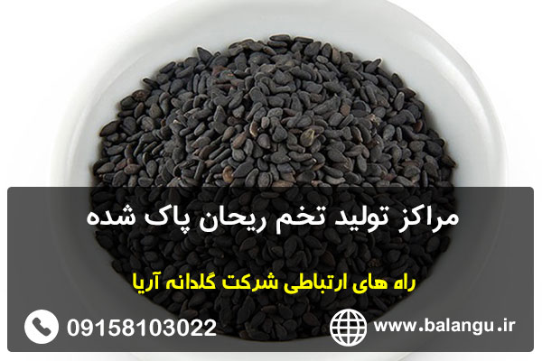 مراکز تولید تخم ریحان پاک شده