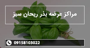 مراکز عرضه بذر ریحان سبز
