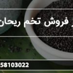 مراکز فروش تخم ریحان سبز