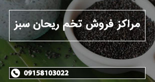 مراکز فروش تخم ریحان سبز