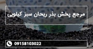 مرجع پخش بذر ریحان سبز کیلویی