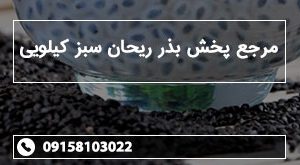 مرجع پخش بذر ریحان سبز کیلویی