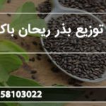 مرکز توزیع بذر ریحان باکیفیت