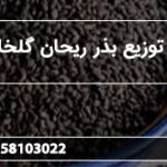 مرکز توزیع بذر ریحان گلخانه ای