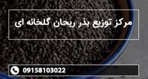 مرکز توزیع بذر ریحان گلخانه ای