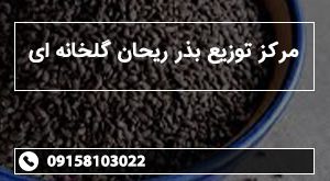 مرکز توزیع بذر ریحان گلخانه ای