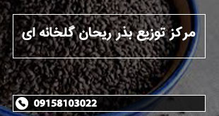 مرکز توزیع بذر ریحان گلخانه ای