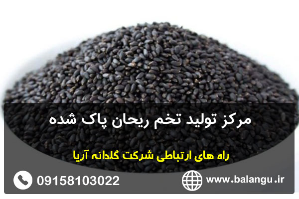 مرکز تولید تخم ریحان پاک شده