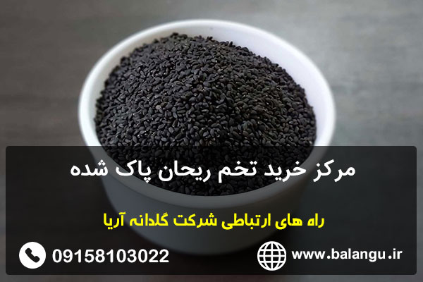 مرکز خرید تخم ریحان پاک شده
