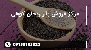مرکز فروش بذر ریحان کوهی
