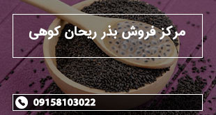 مرکز فروش بذر ریحان کوهی
