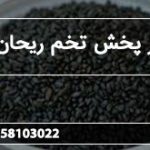 مرکز پخش تخم ریحان اعلا