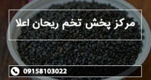 مرکز پخش تخم ریحان اعلا