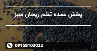 پخش عمده تخم ریحان سبز