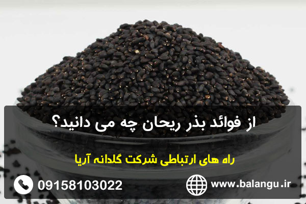 از فوائد بذر ریحان چه می دانید؟