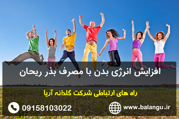 افزایش انرژی بدن با مصرف بذر ریحان