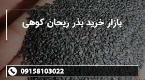 بازار خرید بذر ریحان کوهی
