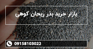بازار خرید بذر ریحان کوهی