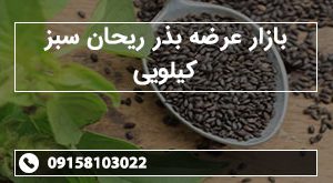 بازار عرضه بذر ریحان سبز کیلویی