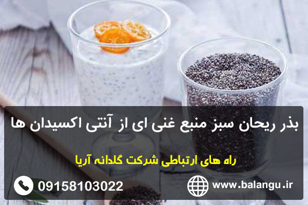 بذر ریحان سبز منبع غنی ای از آنتی اکسیدان ها