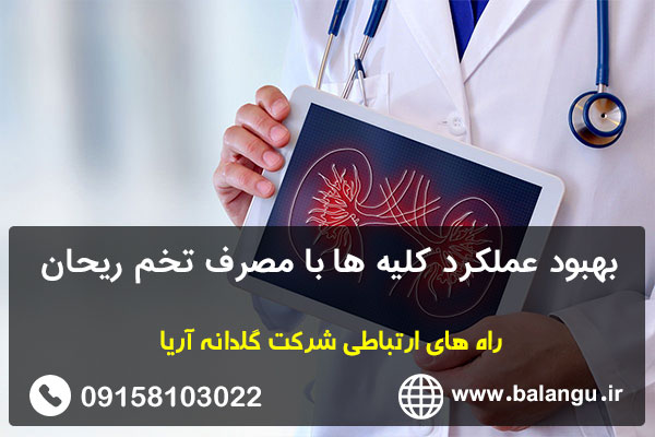 بهبود عملکرد کلیه ها با مصرف تخم ریحان