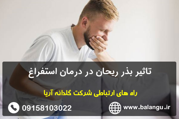 تاثیر بذر ریحان در درمان استفراغ