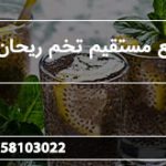 توزیع مستقیم تخم ریحان اعلا