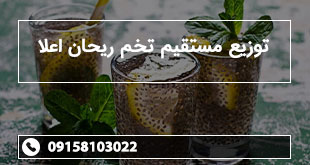 توزیع مستقیم تخم ریحان اعلا