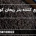 توزیع کننده بذر ریحان کوهی