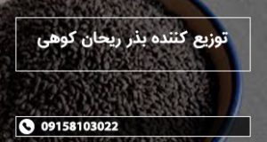 توزیع کننده بذر ریحان کوهی