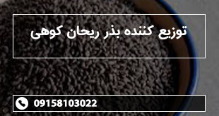 توزیع کننده بذر ریحان کوهی