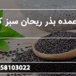 تولید عمده بذر ریحان سبز کیلویی