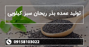 تولید عمده بذر ریحان سبز کیلویی