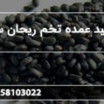 تولید عمده تخم ریحان سبز