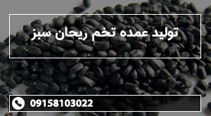 تولید عمده تخم ریحان سبز