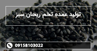 تولید عمده تخم ریحان سبز