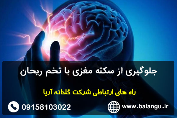 جلوگیری از سکته مغزی با تخم ریحان